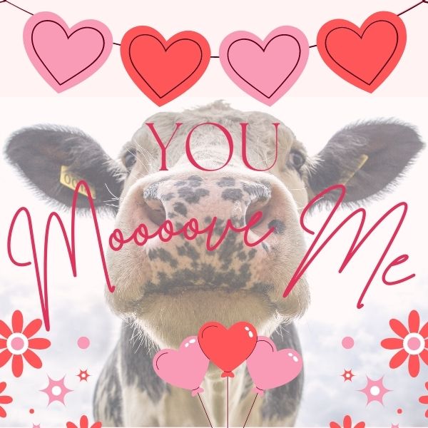 The forbidden Valentine's Day farm princess....