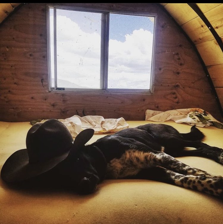 How to Fit in with the Ranch Kids: 5 Core Rules to Surviving WY Culture