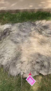 Pre-Made Icelandic Wool Felted Pelt (Ready to Ship or Deliver)