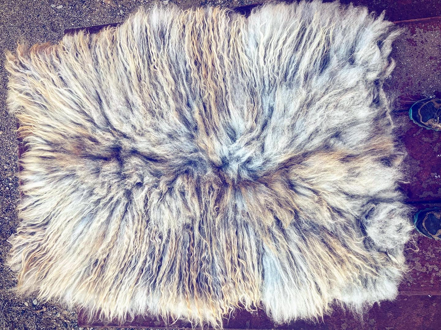 Pre-Made Icelandic Wool Felted Pelt (Ready to Ship or Deliver)