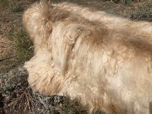 Pre-Made Icelandic Wool Felted Pelt (Ready to Ship or Deliver)