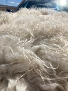 Pre-Made Icelandic Wool Felted Pelt (Ready to Ship or Deliver)