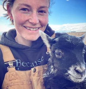 Intro to Wet-Felting with Raw Wool- Make an Icelandic Wool Sit-Upon